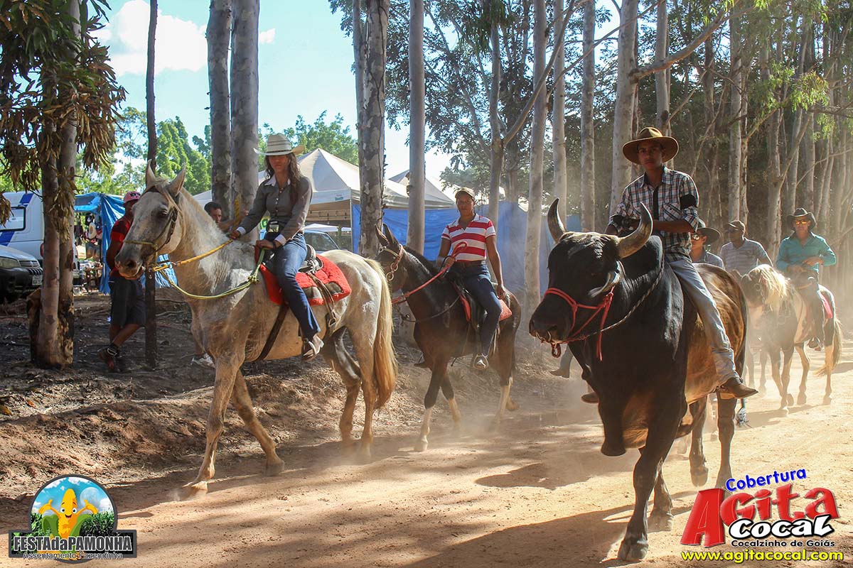 Festa da Pamonha (3 Dia)